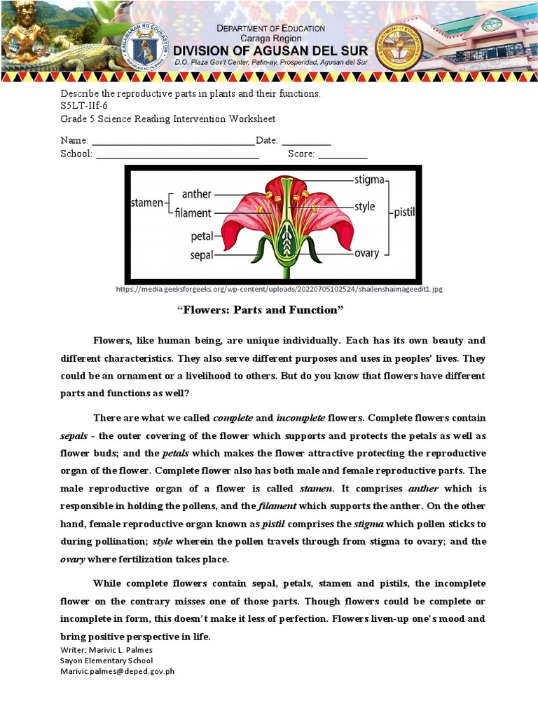 s5lt-iif-6-flower-s-parts-and-functions-pdf-home-garden