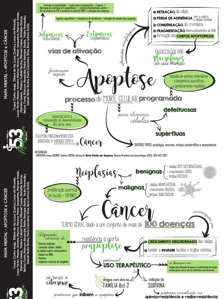 MAPA MENTAL_APOPTOSE e CÂNCER | PDF | Apoptose | Biologia Celular