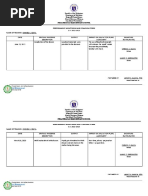 Chricel Performance Monitoring and Coaching Form