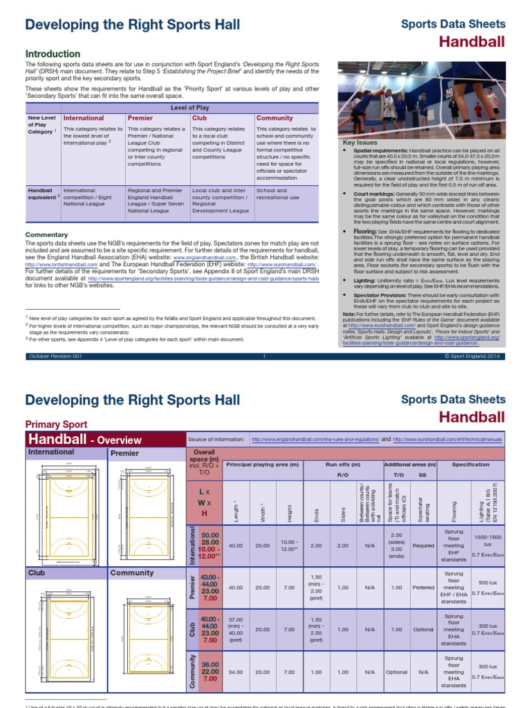 handball-data-sheet-2014-pdf