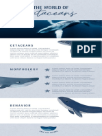 Blue Illustrated Ocean Whales Infographic