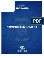 Cronograma Semana 1