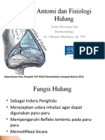 Antomi Dan Fisiologi Hidung (TUGAS)