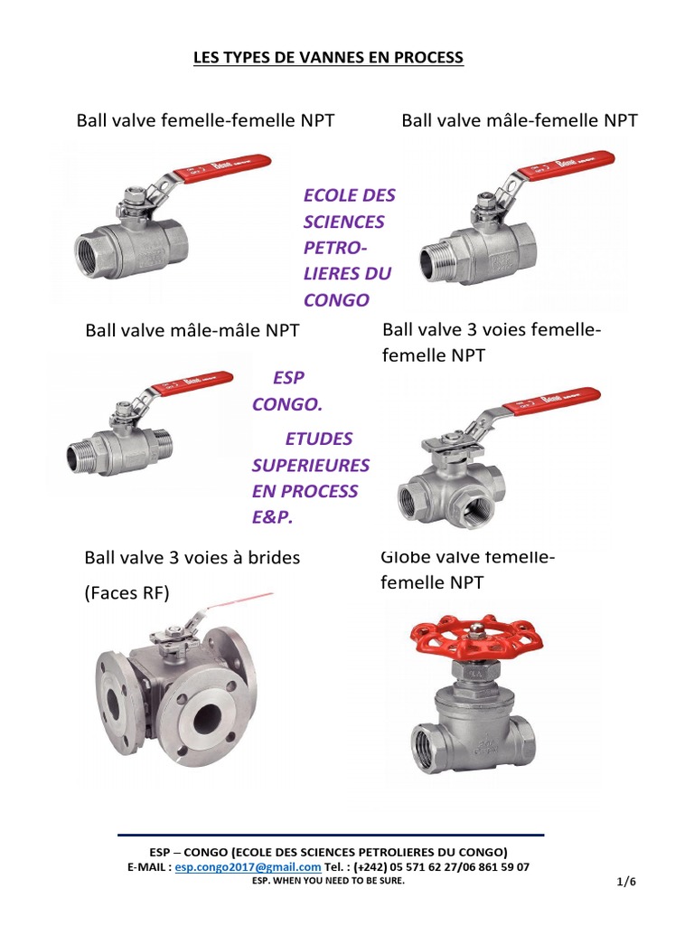 Types de Vannes en Process | PDF