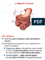 Digestive System