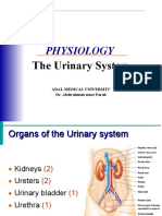 Urinery System Physiology