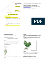 Bio 6.roc - Stavba Tela Nekvitnucich Rastlin-Poznamky