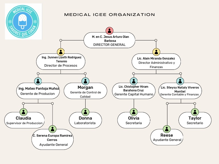 Organigrama Medical Icee | PDF