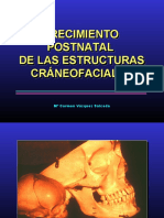 Crecimiento Craneofacial Postnatal