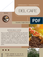 Variedades y Rendimiento Del Café