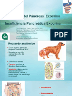 8)Pancreas exócrino y endócrino