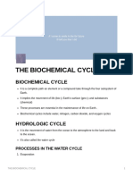 3 The - Biochemical - Cycle