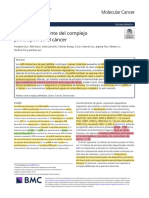 0-0articulo piRNAs, Introduccion y Generalidades Español