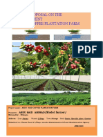 Abdu koma coffee plantation farm 2023