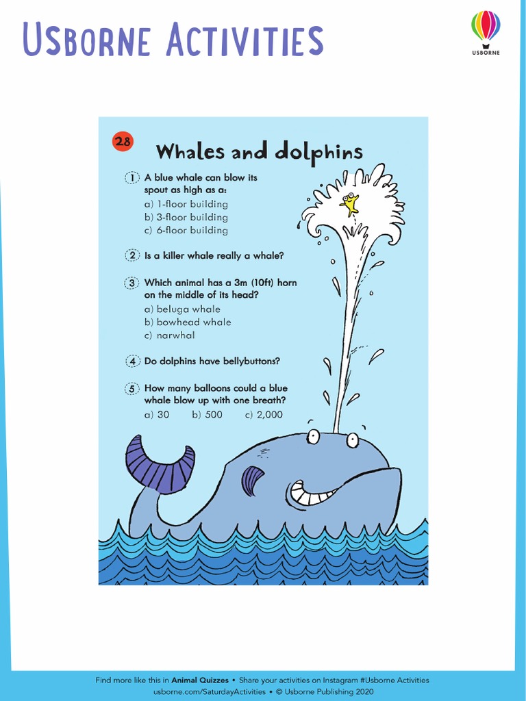 Whales and Dolphins Animal Quizzes | PDF
