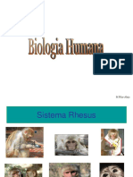 P - BH - BiolAmb - Tema RH - Fy - Primats - 2021-22