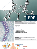 Metabolismo y Bioenergetica 2023