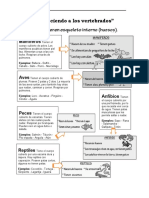 Conociendo A Los Vertebrados