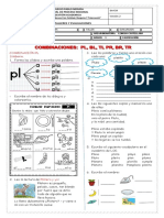 GUIA DE LA PL - copia - copia (1)