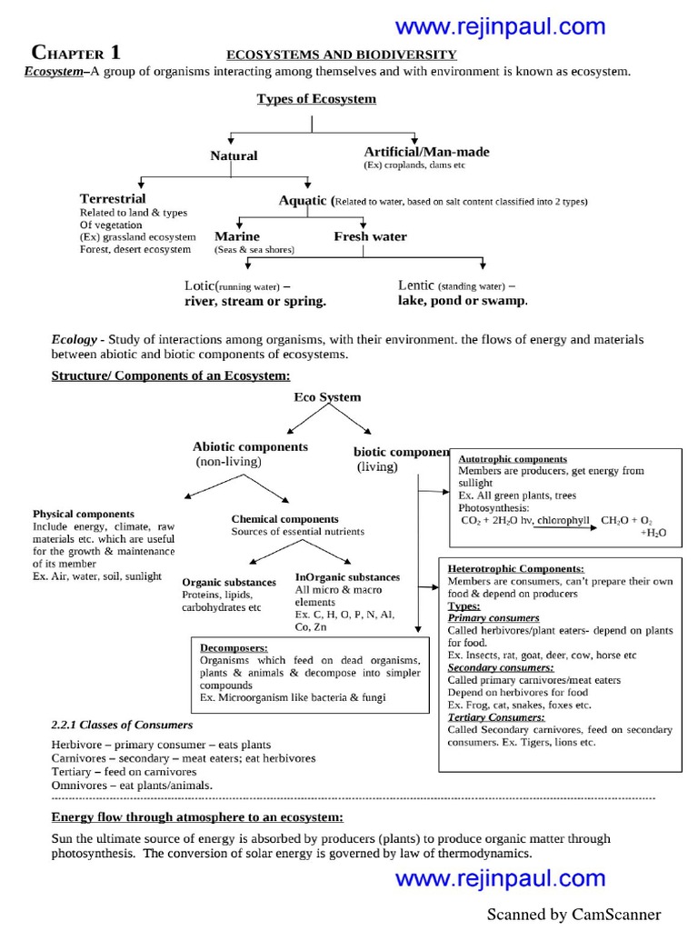 Environmental Studies Notes PDF
