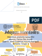 Dermatomas y Miotoma 134820 Downloadable 3510939