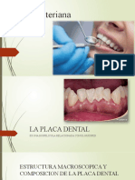 Placa Dental Perio2021