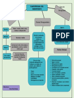 Mapa Conceptual 