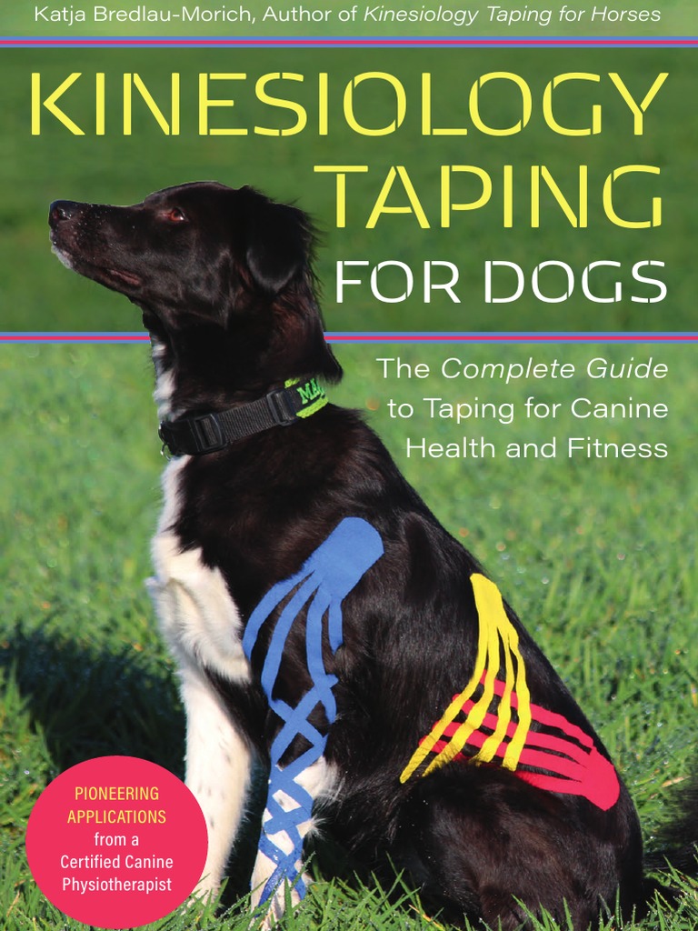 V Safety No Dogs Except Guide Dogs, 150 x 200 mm, vinile
