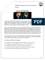 Actividad N04 Mala Nutrición.