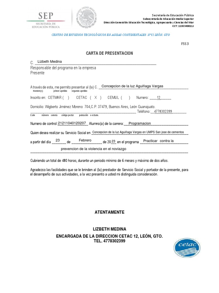 carta-de-presentaci-n-de-servicio-social-pdf