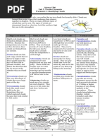 Understanding Contact and Non-Contact Forces | PDF | Force | Gravity