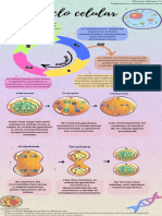 Infografía Ciclo Celular, Génesis Vásquez.pdf