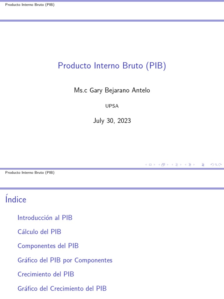 Guía Completa sobre el PIB | PDF | Producto Interno Bruto | Inversiones