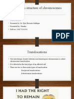 Cell Biology Translocation