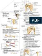 Gross HSB A - Appendicular Skeletal System