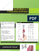Anatomia Quirurgica y Fisiologia Esofago