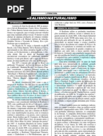 03-realismo, naturalismo...