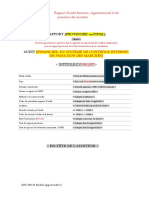 Annexe XI.4 Modele Rapport Audit (3)