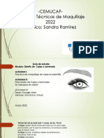 Formas de Cejas y Delineado 2022