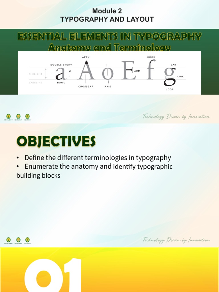 Typography Anatomy and Terminology | PDF | Typography | Typefaces