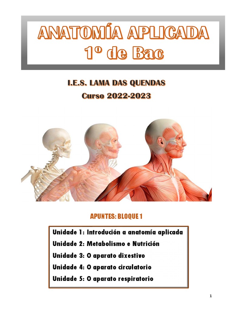 Bloque 1 Apuntes Pdf