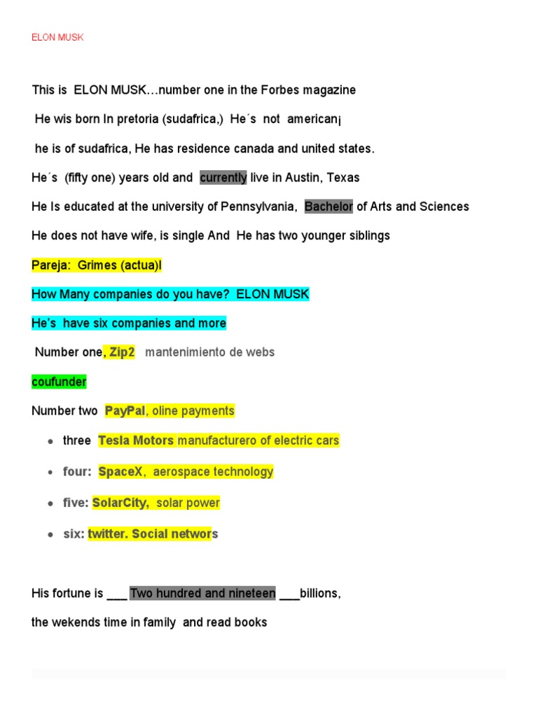 Elon Musk | PDF