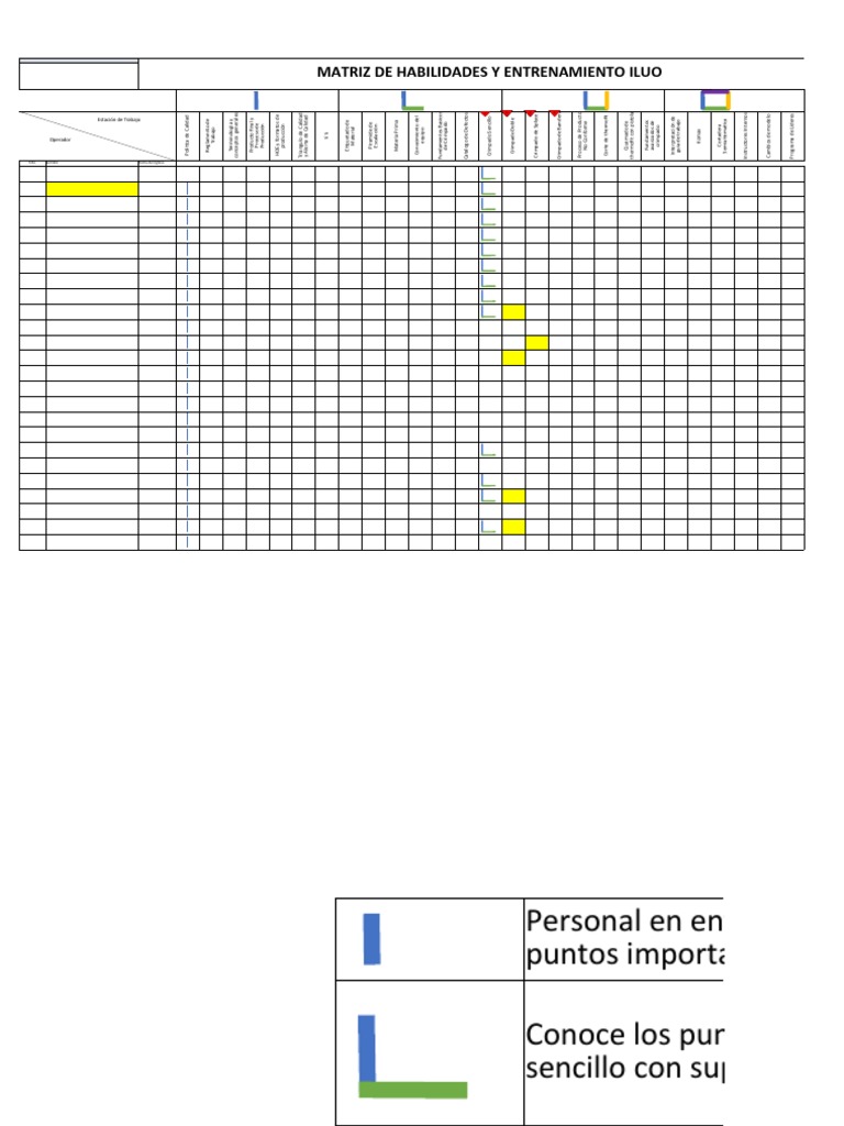 Matriz de Habilidades ILUO e Treinamento | PDF