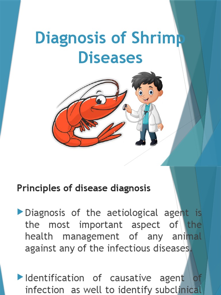 Shrimp Disease Diagnosis PDF
