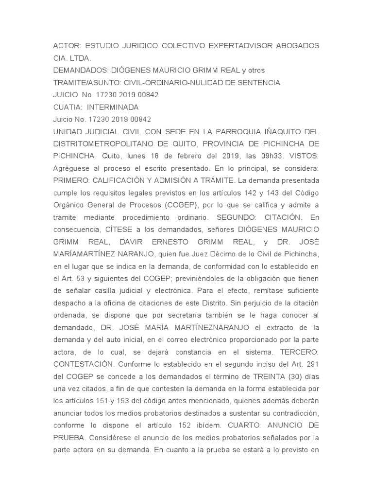 Nulidad de Sentencia | PDF | Demanda judicial | Gobierno