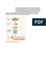 Basic Characteristics of Tissue Culture