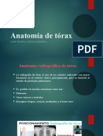 Anatomia Radiologica