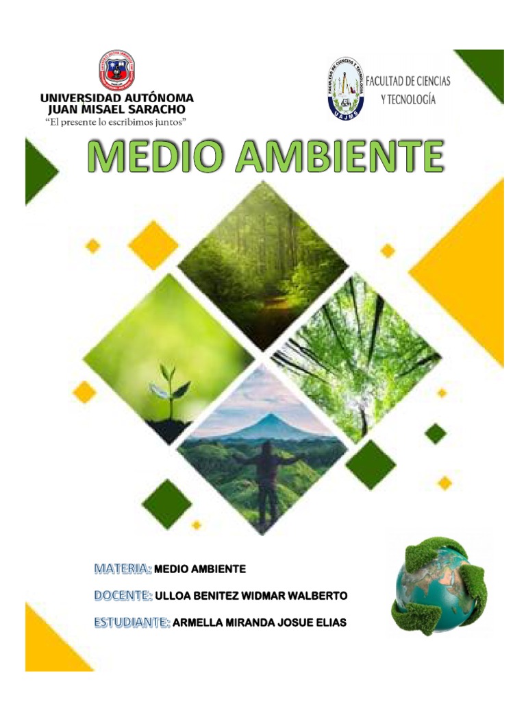 Importancia Del Medio Ambiente | PDF | Ecología | Suelo