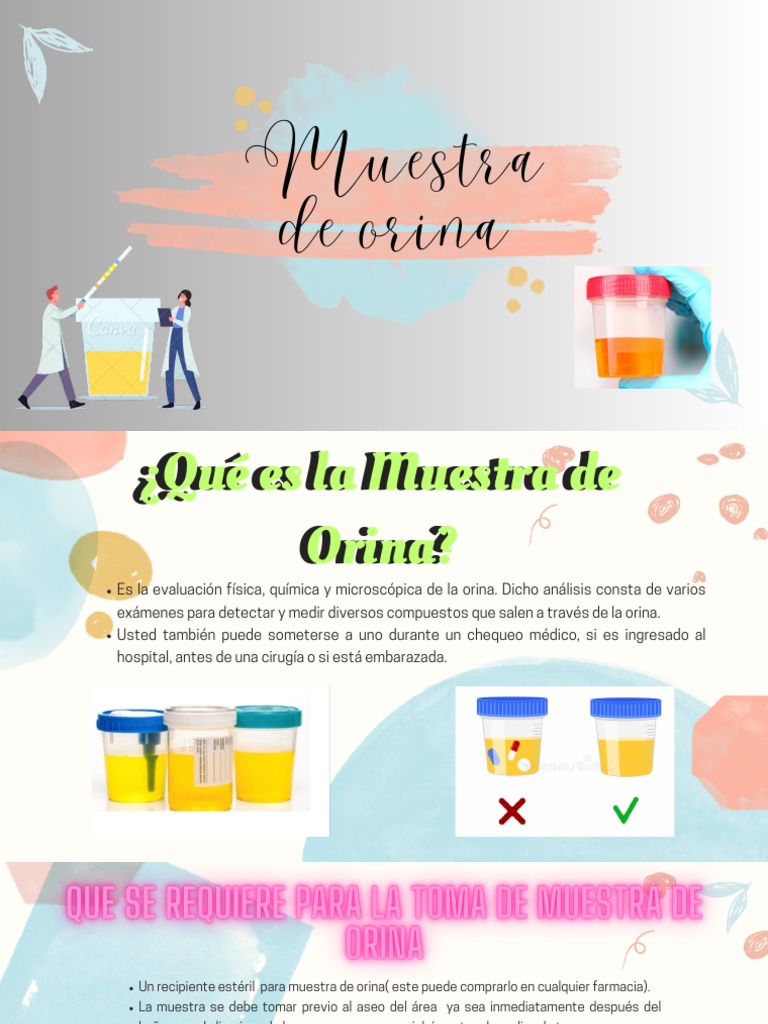 Guía para la Toma de Muestra de Orina | PDF | Especialidades Medicas ...
