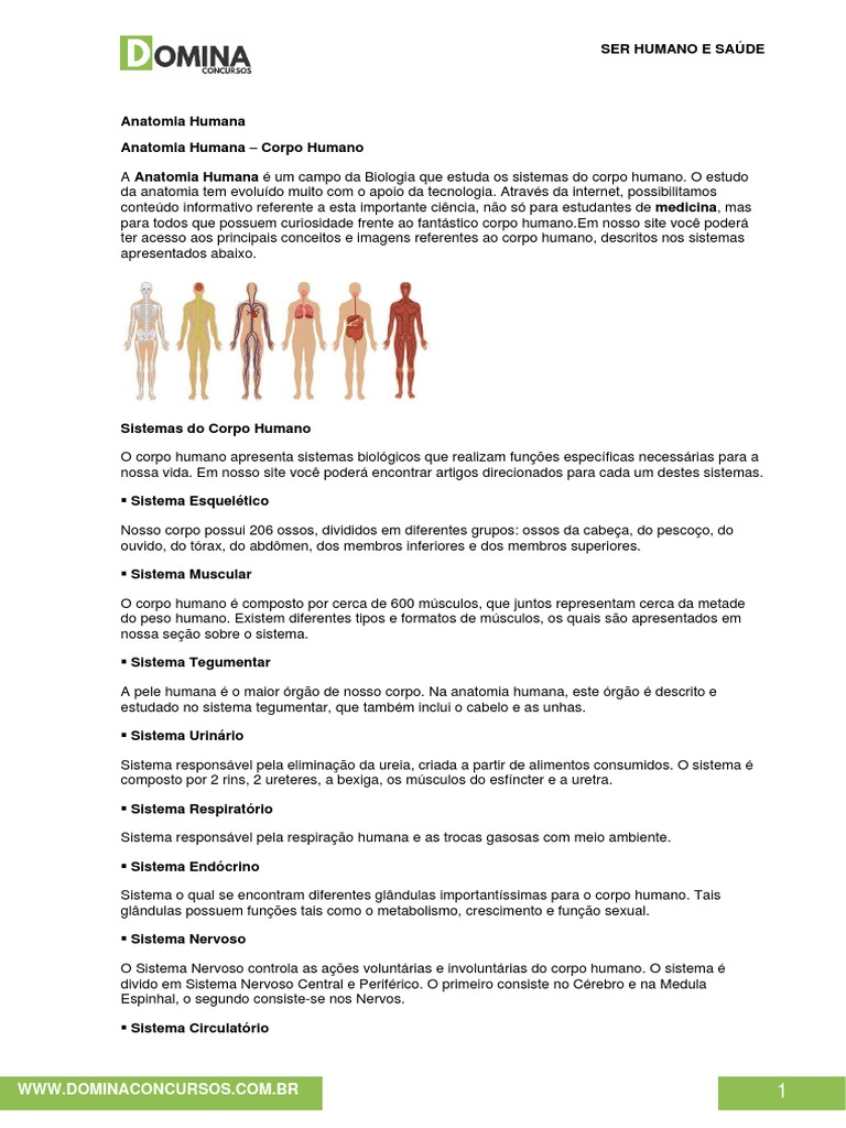 Baralho Músculos masculinos da anatomia humana por Leonard